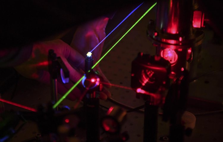 Фото © Кирилл Кухмарь/ ТАСС