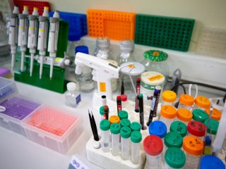 В лаборатории структурно-функциональной организации хромосом Института биологии гена РАН. Фото: Ольга Мерзлякова / «Научная Россия»