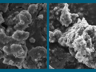 Источник ФИЦ «Институт катализа СО РАН»