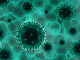 Изображение: Фотобанк Freepik