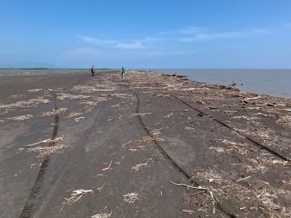 Полоса осушки вблизи устья реки Самур. Автор фото: В.В. Крыленко