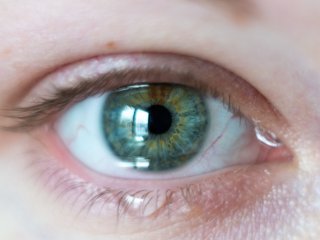 Источник фото: ru.123rf.com