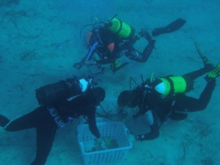 Подводная археология ищет первых американцев