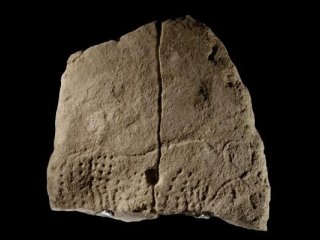 Во Франции найдено изображение зубра возрастом 38 тысяч лет