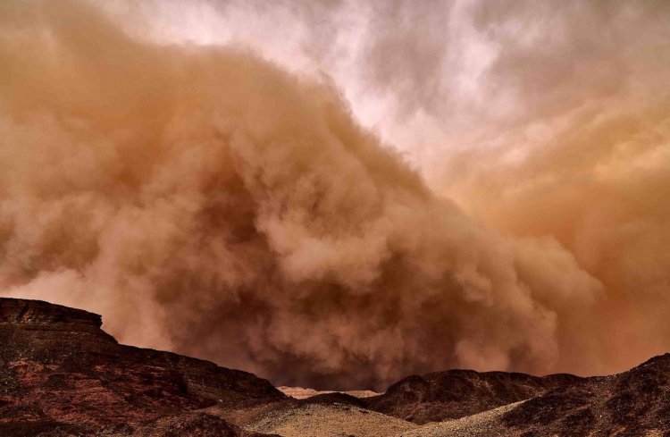 C пыльными бурями в Израиль прилетают чужие бактерии