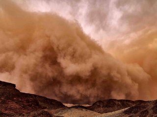 C пыльными бурями в Израиль прилетают чужие бактерии