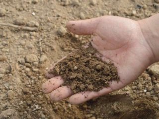 Немецкие ученые: микропластик попадает в органические удобрения