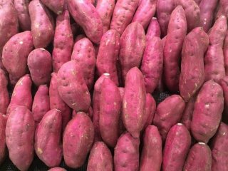 «Сладкий картофель раздора»: ученые спорят о происхождении батата