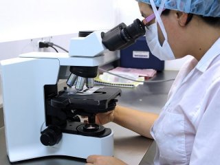 Клетки криптококка «общаются» между собой и потому быстрее атакуют здоровый организм