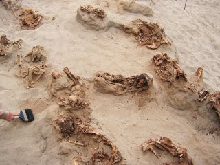 Археологи обнаружили в Перу свидетельства крупнейшего жертвоприношения детей