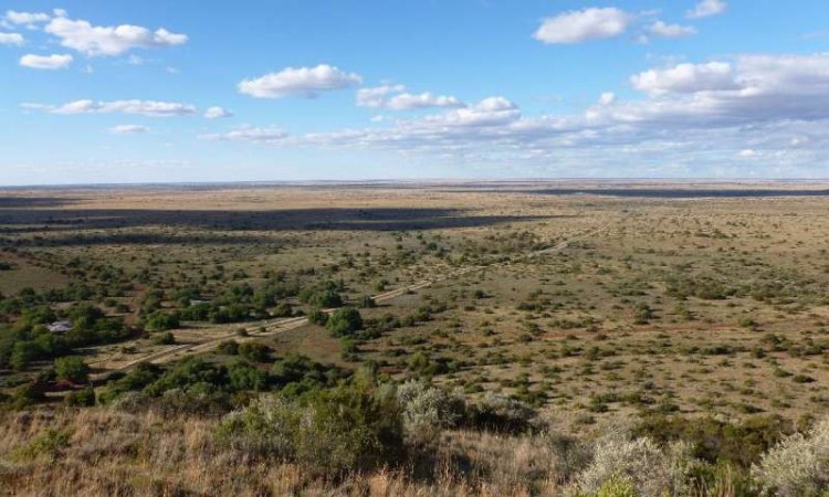 Два миллиона лет назад климат в Южной Африке был другим