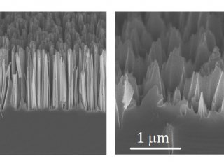 Микрофотографии разных форм кремниевых нанотией, полученные с помощью сканирующего электронного микроскопа // Источник: Кирилл Гончар, МГУ
