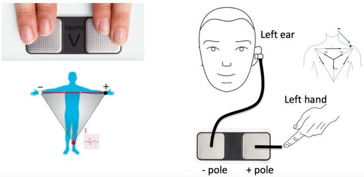 Новая электрокардиограмма использует сигналы от уха и руки для проверки сердечного ритма