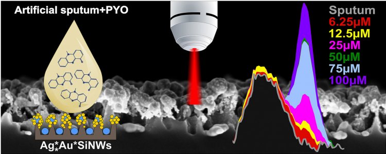 Схема работы метода экспресс-диагностики синегнойной палочки // Источник: Olga Žukovskaja, Svetlana Agafilushkina, Vladimir Sivakov, Karina Weber, Dana Cialla-May, Liubov Osminkina, Jürgen Popp/ 2019. Talanta, vol.202,p.171-177