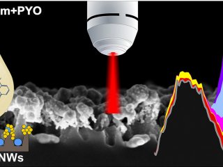Схема работы метода экспресс-диагностики синегнойной палочки // Источник: Olga Žukovskaja, Svetlana Agafilushkina, Vladimir Sivakov, Karina Weber, Dana Cialla-May, Liubov Osminkina, Jürgen Popp/ 2019. Talanta, vol.202,p.171-177