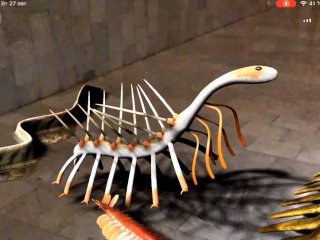 Древних животных кембрия "оживили" с помощью AR-технологий в Дарвиновском музее