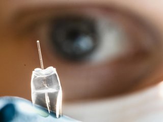 Ионный насос доставляет химиотерапевтические препараты прямо в мозг