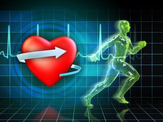 Физическая активность поможет избежать сердечных приступов и инсультов