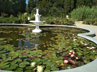 В самом знаменитом водоёме Никитского сада одновременно расцвели 27 сортов кувш…