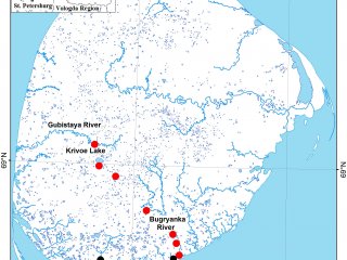 Карта местонахождений шмелей на острове Колгуев, где были собраны современные (отмечены красными точками) и исторические (черными точками) образцы насекомых