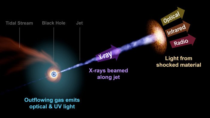 Астрономы обнаружили самую далекую черную дыру, поглощающую звезду