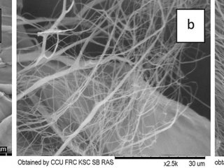 Изображения со сканирующего атомно-силового микроскопа полученных образцов микрокристаллической (а), микрофибриллированной (b) и нанокристаллической (c) целлюлозы. Источник: ФИЦ КНЦ СО РАН