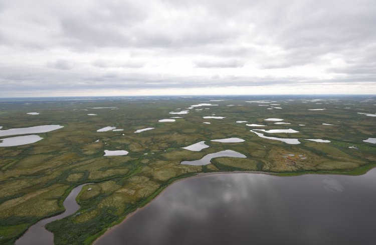 Нефтяная площадка среди болот Западной Сибири. Фото А. Сирина