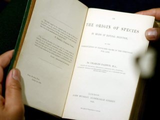 Первое издание книги Чарльза Дарвина «Происхождение видов путем естественного отбора» 1859 года Фото: Getty Images/Bloomberg