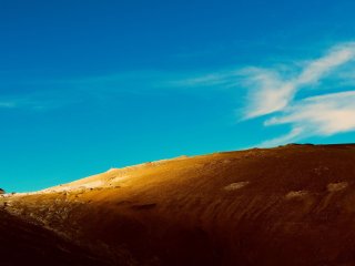 Изображение: rawpixel/Фотобанк RU.123.RF