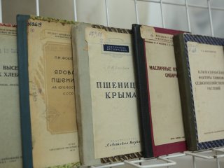 Конференция «Сельскохозяйственная наука в годы Великой Отечественной войны: вклад в Победу». Фото: Ольга Мерзлякова / Научная Россия
