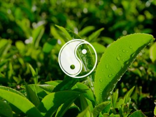 Изображение: rawpixel/Фотобанк RU.123.RF