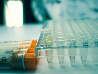 Источник ru.123rf.com