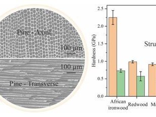 Предельная анизотропия твёрдости монолитного биоугля. Фото: Qinyi Wang, Yating Ji, Mohana M. Sridharan, Lizhong Lang, Yu Zou, Donald W. Kirk & Charles Q. Jia