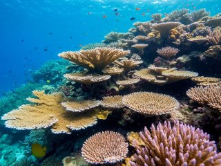 Фото: создано с помощью сервиса «Шедеврум»