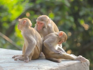 Источник: seaonweb / ru.123rf.com