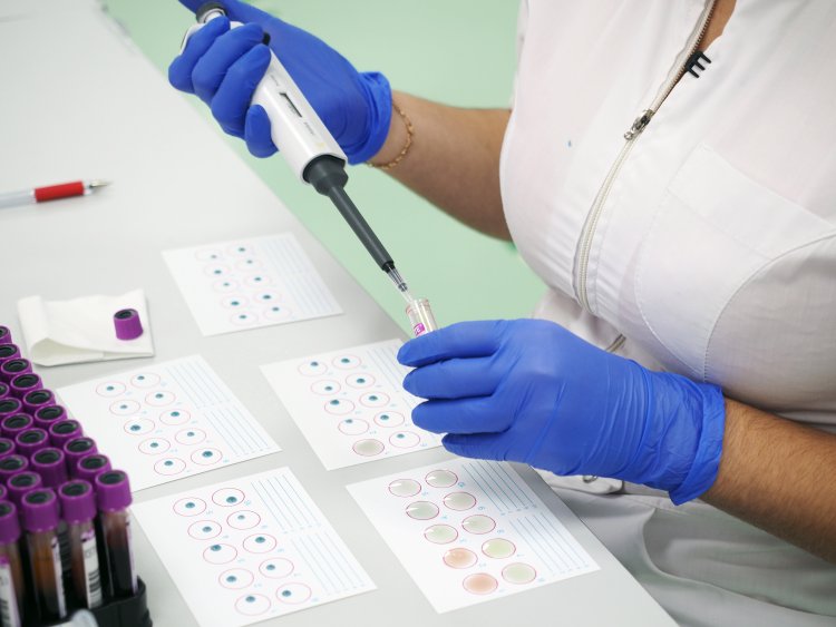 Фото: © РИА Новости/Виталий Тимкив