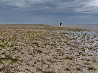 Высохшее дно Каспийского моря на севере острова Чечень. Автор фото: В.В. Крыленко