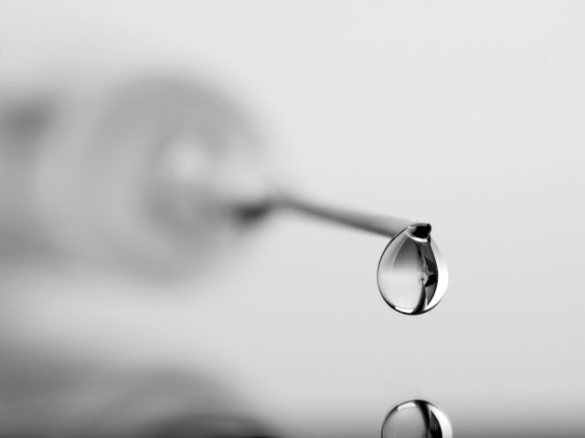 Источник фото: ru.123rf.com