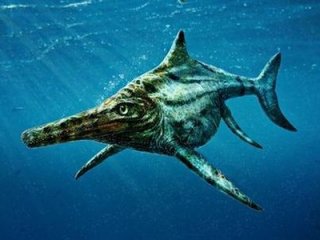 Вновь найденный ихтиозавр рассказал о своих современниках