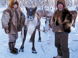 Как организм коренных жителей адаптируется к условиям Крайнего Севера