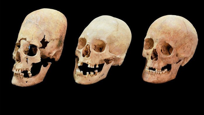 Странные продолговатые черепа могли принадлежать средневековым «политическим» невестам
