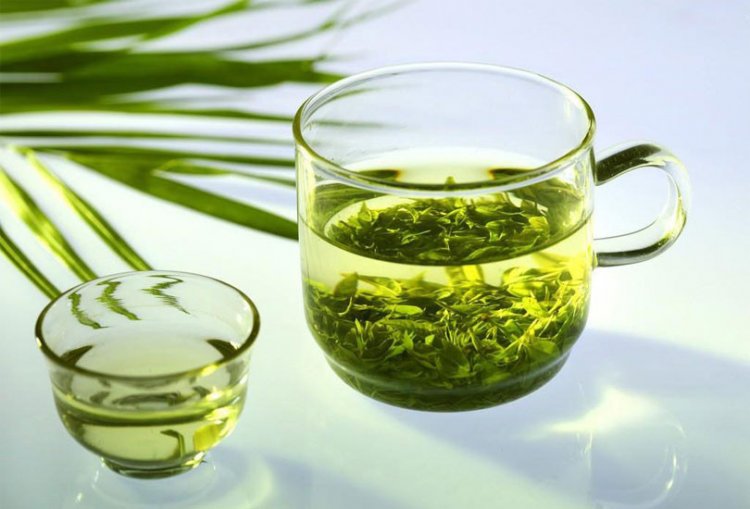 Особый тип катехина в зеленом чае поможет предотвратить атеросклероз сосудов