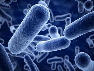 Секвенирование РНК для изучения микробиома кишечника
