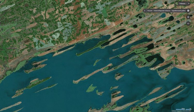 Гривы на озере Чаны, съемка со спутника (предоставлено А.Л. Бейзелем)