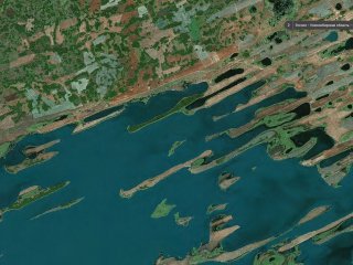 Гривы на озере Чаны, съемка со спутника (предоставлено А.Л. Бейзелем)