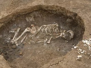 Захоронение женщины умершей при родах, датируемое серединой 2-го тысячелетием до н. э. © Фото : предоставлено информационной службой ДГТУ