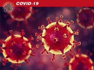 Статистика смертности в Италии от коронавирусной инфекции