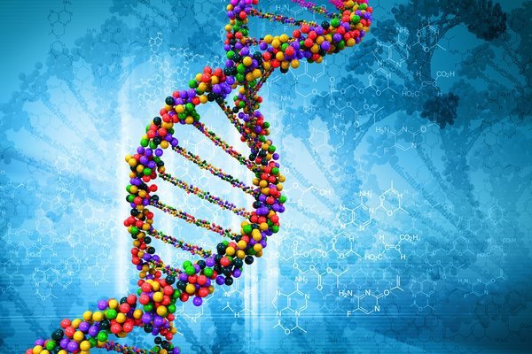Для разных задач требуются не одинаковые инструменты восстановления ДНК