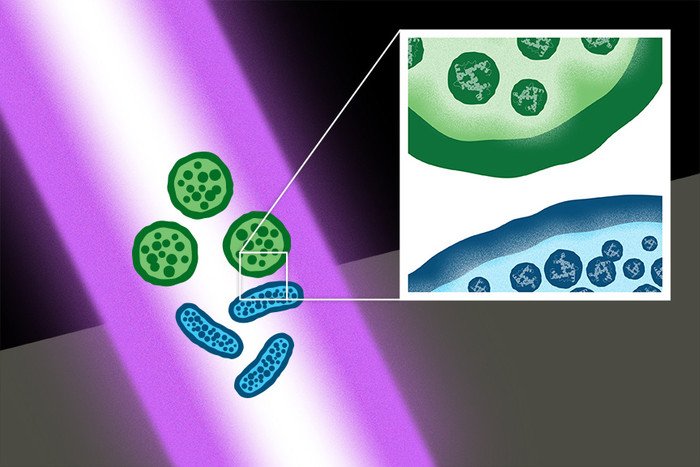 Лазеры сверхкоротких импульсов убивают бактерии, не повреждая клетки организма