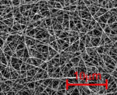 Образец пленки из углеродных нанотрубок под сканирующим электронным микроскопом. Источник: Carbon